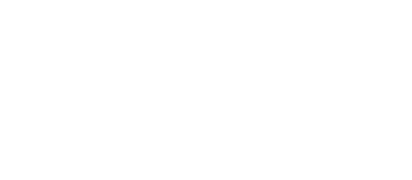 WMG CONSULTING 